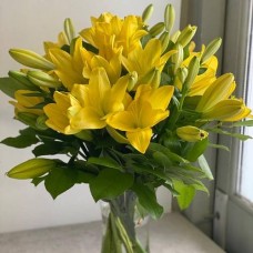 Yellow Lilies